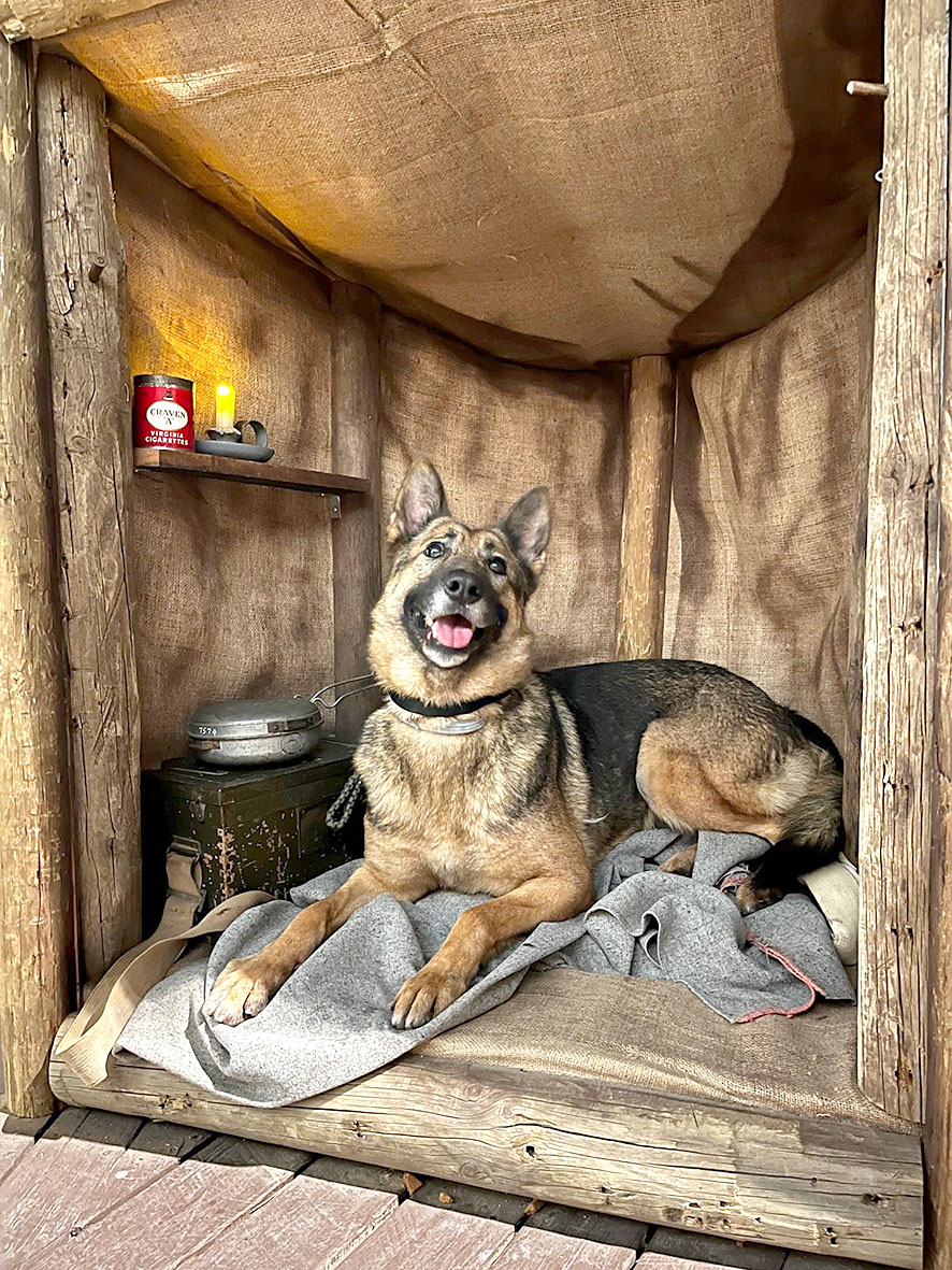 Hemi rests in the Trenches